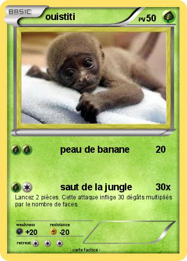 Pokemon ouistiti