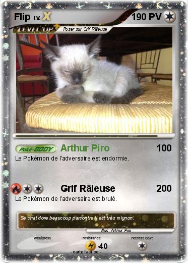 Pokemon Flip