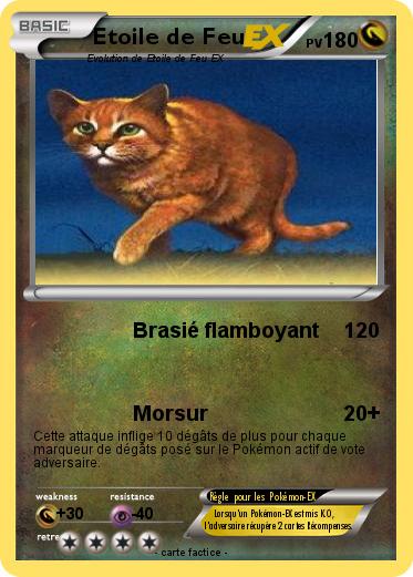 Pokemon Etoile de Feu