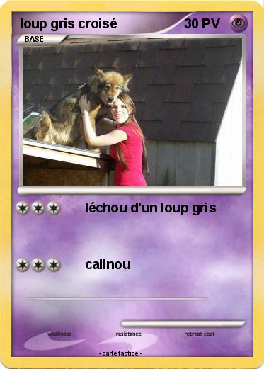 Pokemon loup gris croisé