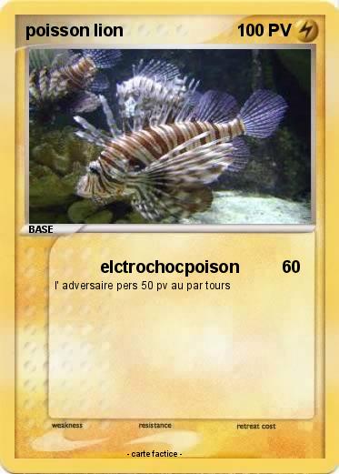 Pokemon poisson lion