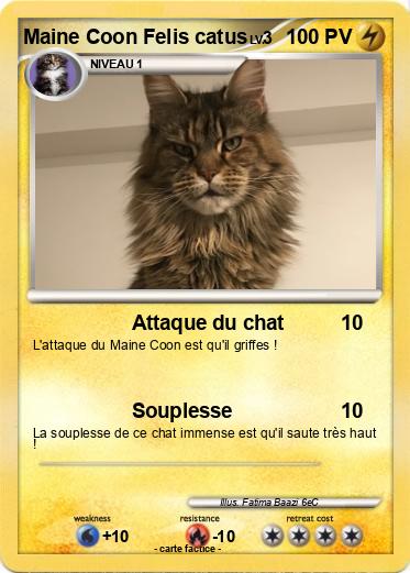 Pokemon Maine Coon Felis catus