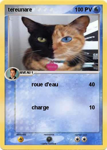 Pokemon tereunare