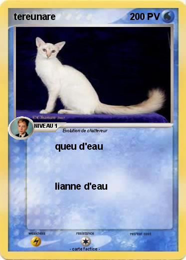 Pokemon tereunare