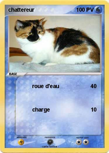 Pokemon chattereur