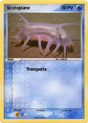 Pokemon Scotoplane