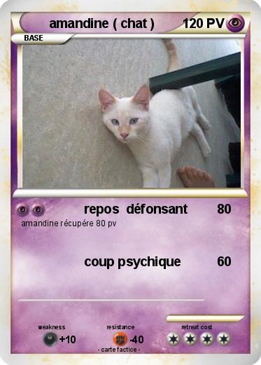 Pokemon amandine ( chat )