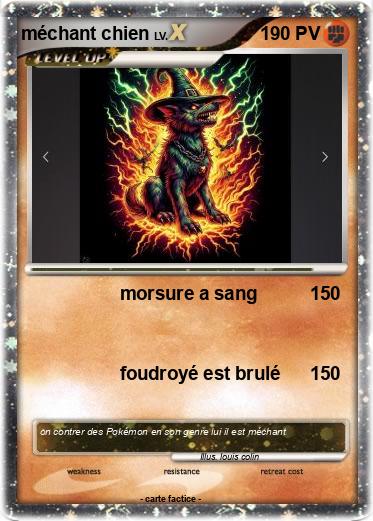 Pokemon méchant chien