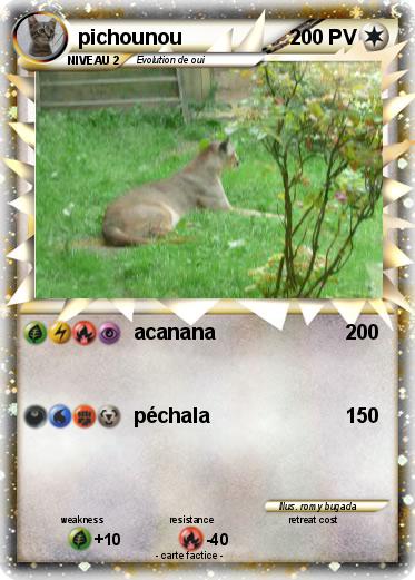 Pokemon pichounou
