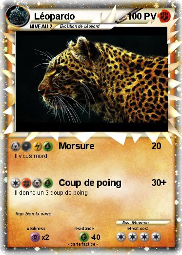 Pokemon Léopardo