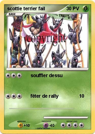 Pokemon scottie terrier fail