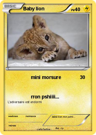 Pokemon Baby lion