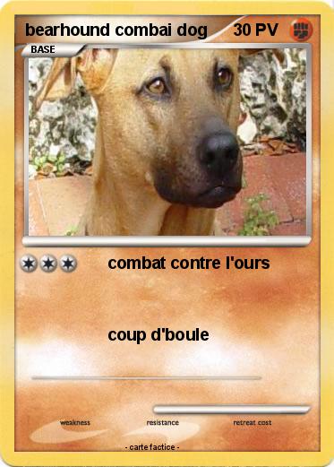 Pokemon bearhound combai dog