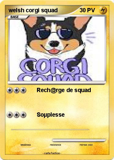 Pokemon welsh corgi squad