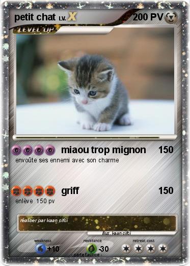 Pokemon petit chat
