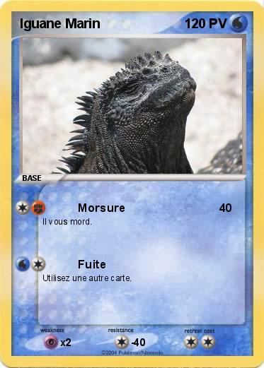 Pokemon Iguane Marin