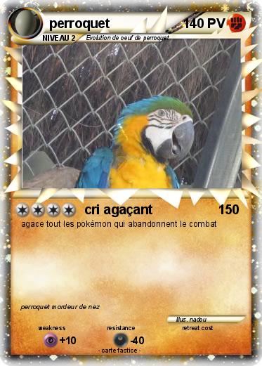 Pokemon perroquet