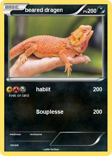 Pokemon beared dragen