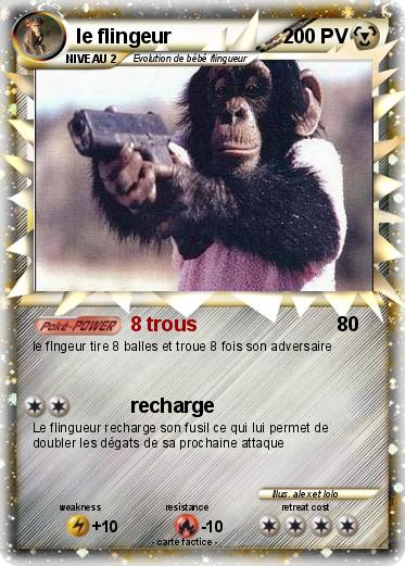Pokemon le flingeur