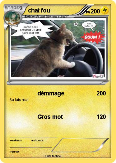 Pokemon chat fou