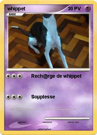 Pokemon whippet