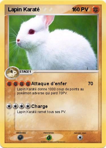Pokemon Lapin Karaté                      1
