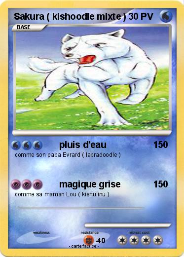 Pokemon Sakura ( kishoodle mixte )