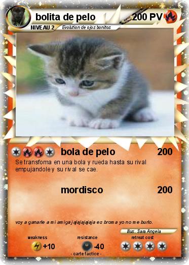 Pokemon bolita de pelo
