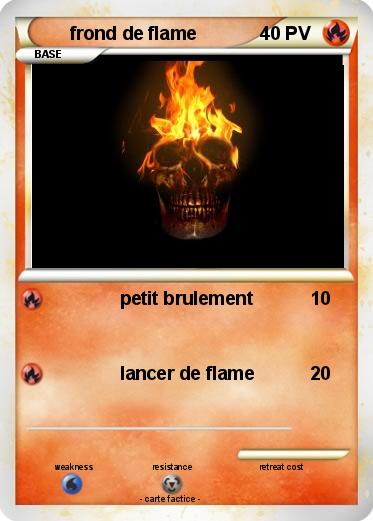 Pokemon frond de flame