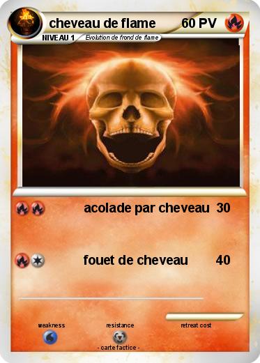Pokemon cheveau de flame