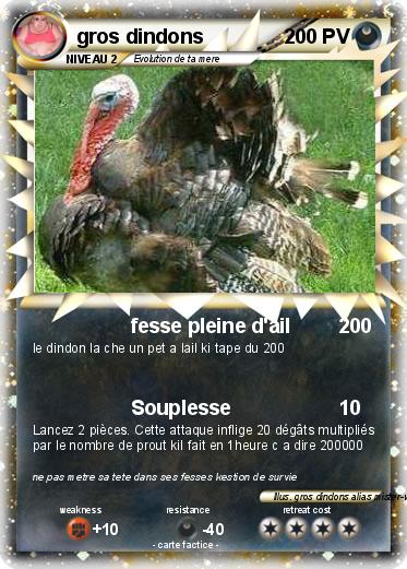 Pokemon gros dindons