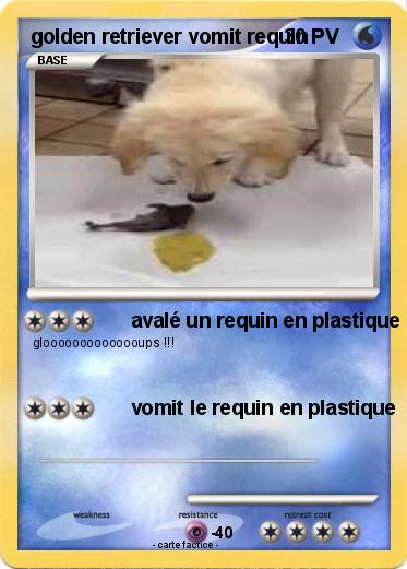 Pokemon golden retriever vomit requin