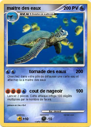 Pokemon maitre des eaux