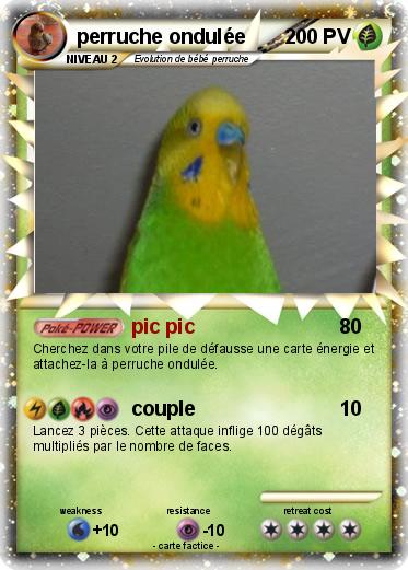 Pokemon perruche ondulée