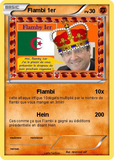 Pokemon Flambi 1er