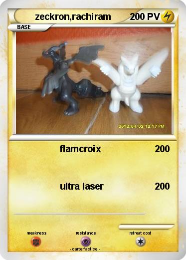 Pokemon zeckron,rachiram