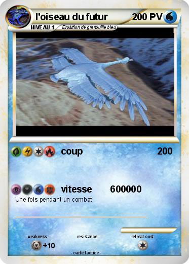 Pokemon l'oiseau du futur