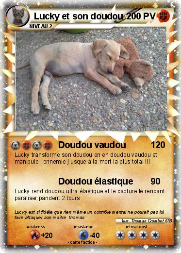 Pokemon Lucky et son doudou
