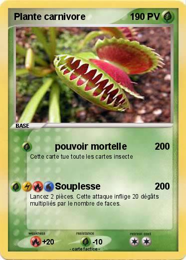 Pokemon Plante carnivore
