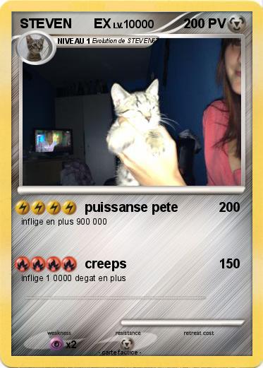 Pokemon STEVEN      EX