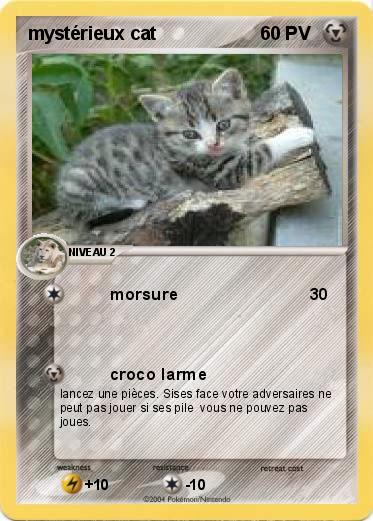 Pokemon mystérieux cat