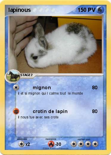 Pokemon lapinous