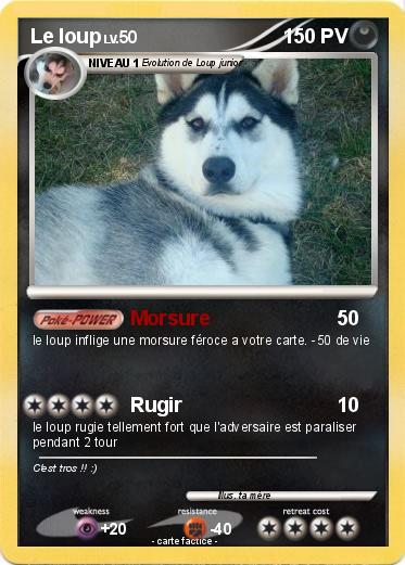 Pokemon Le loup