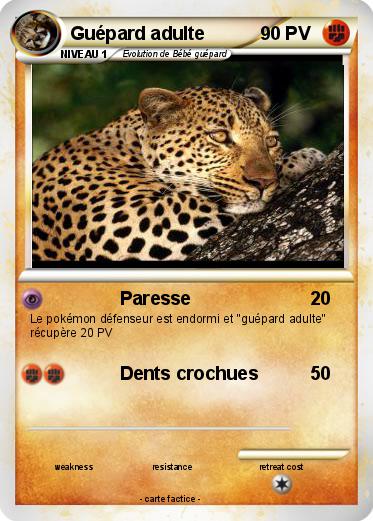 Pokemon Guépard adulte