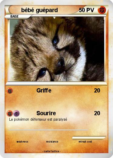 Pokemon bébé guépard