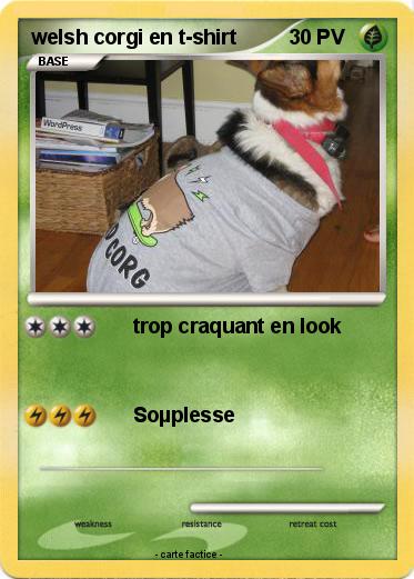 Pokemon welsh corgi en t-shirt