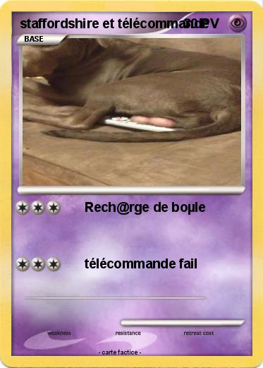Pokemon staffordshire et télécommande