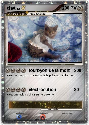 Pokemon chat