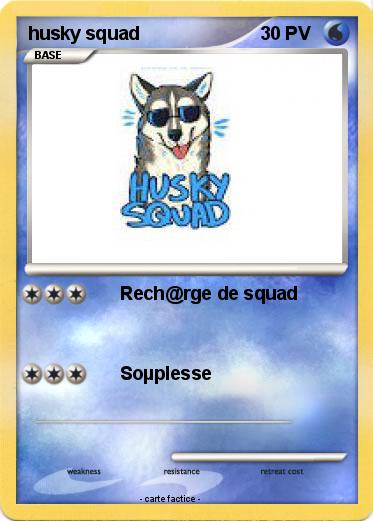 Pokemon husky squad