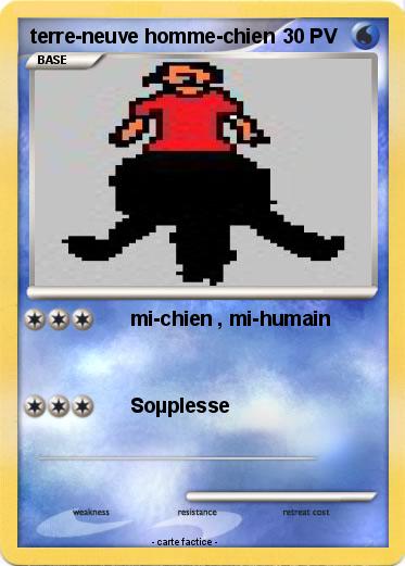 Pokemon terre-neuve homme-chien